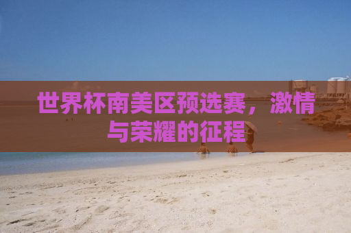 世界杯南美区预选赛，激情与荣耀的征程