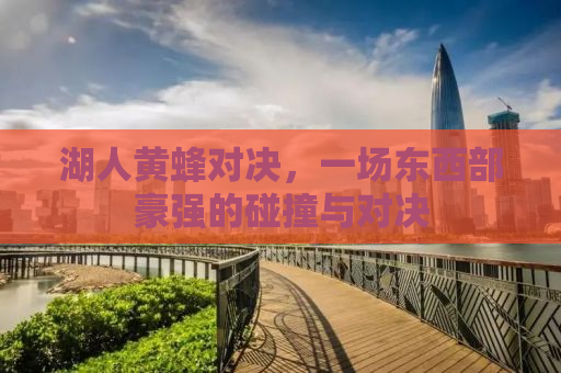湖人黄蜂对决，一场东西部豪强的碰撞与对决