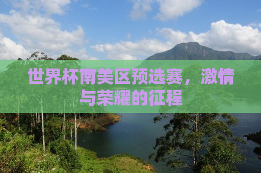 世界杯南美区预选赛，激情与荣耀的征程