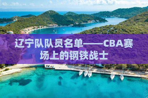 辽宁队队员名单——CBA赛场上的钢铁战士