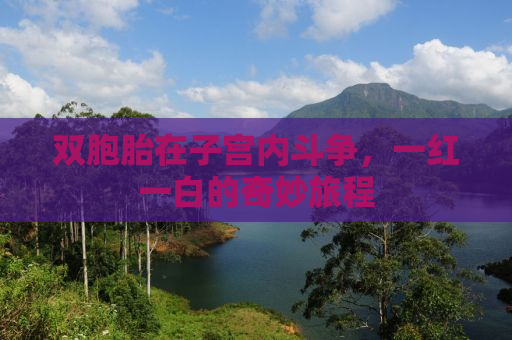 双胞胎在子宫内斗争，一红一白的奇妙旅程