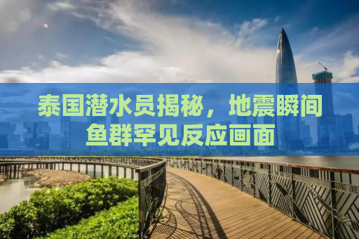 泰国潜水员揭秘，地震瞬间鱼群罕见反应画面