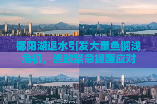 鄱阳湖退水引发大量鱼搁浅危机，渔政紧急提醒应对