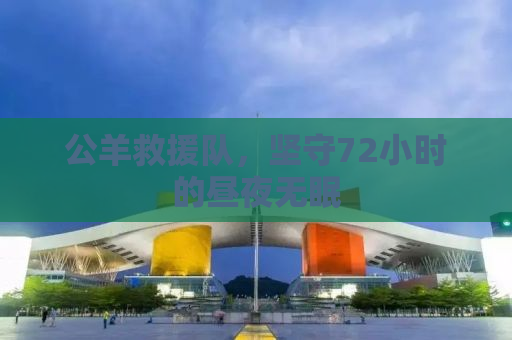 公羊救援队，坚守72小时的昼夜无眠