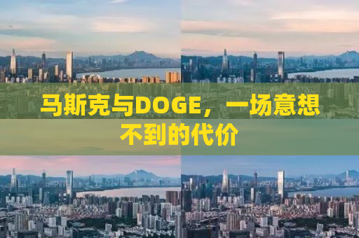 马斯克与DOGE，一场意想不到的代价