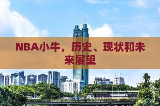 NBA小牛，历史、现状和未来展望