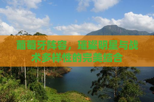 葡萄牙阵容，璀璨明星与战术多样性的完美结合