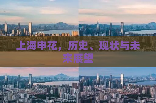 上海申花，历史、现状与未来展望