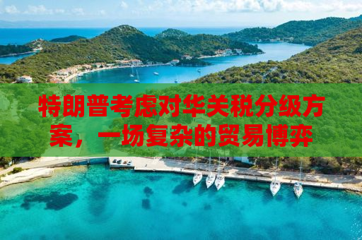 特朗普考虑对华关税分级方案，一场复杂的贸易博弈